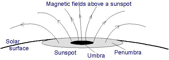 Lifetime of Sunspot Groups